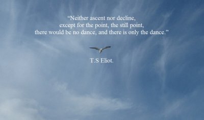 IMG_0129 2.jpg