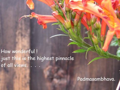 Padmasambhava 6.JPG