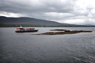 Tourists and seals