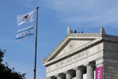 ChicagoIL Flags At The Shedd Aquarium 6-1-10 518 PM.JPG