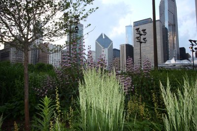 ChicagoIL Prudential Building Flowers 6-1-10 758 PM.JPG