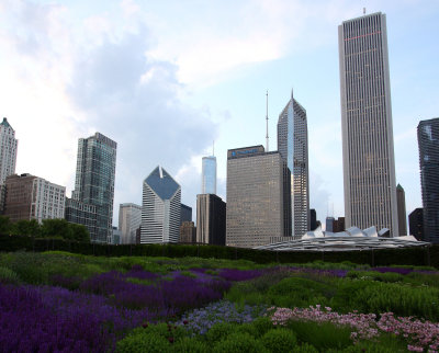 ChicagoIL Prudential Building Flowers 6-1-10 800 PM.JPG