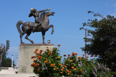 ChicagoIL Flowers The Horse Statue 8-18-11 359 PM.JPG