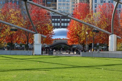 ChicagoIL Fall Colors The Bean 11-4-11 249 PM.JPG