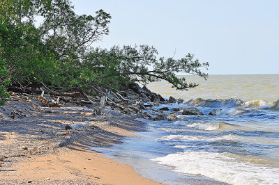 Lake Erie beach