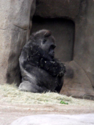 DSCF7230.jpg