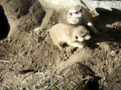 DSCF7241.jpg