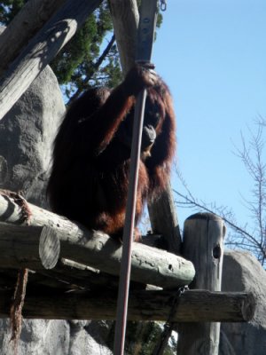 DSCF7253.jpg