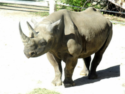 DSCF7259.jpg