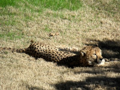 DSCF7268.jpg