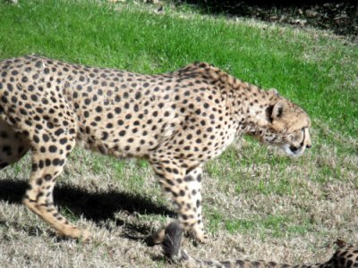 DSCF7270.jpg