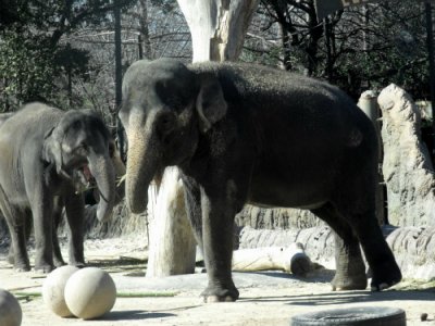 DSCF7273.jpg
