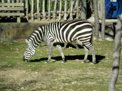 DSCF7307.jpg