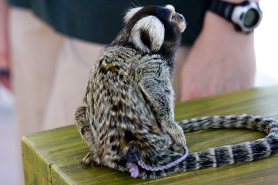 IMG_8502.jpg