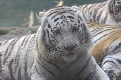 IMG_0281.jpg