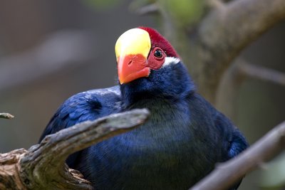 IMG_9827.jpg