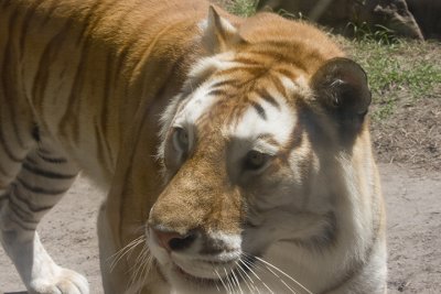 IMG_2357.jpg