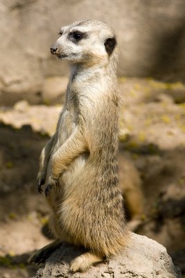 IMG_2646.jpg