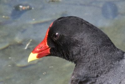 IMG_2684.jpg
