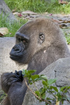 IMG_2746.jpg