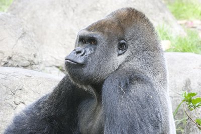 IMG_2855.jpg