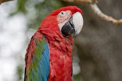 IMG_1899.jpg