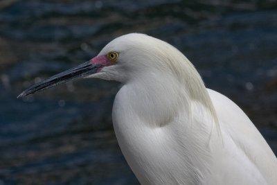 IMG_1958.jpg