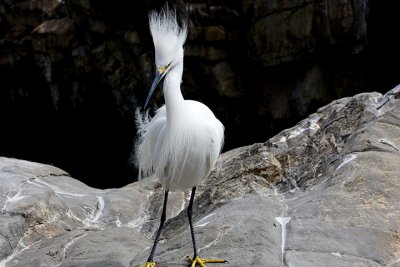 IMG_1964.jpg
