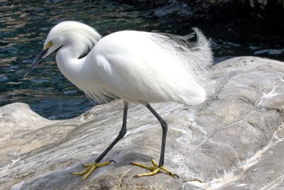 IMG_1967.jpg
