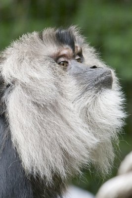 IMG_1160.jpg