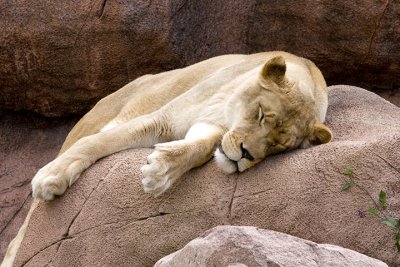 IMG_1471.jpg