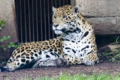 IMG_1574.jpg
