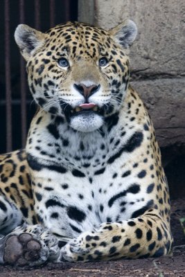 IMG_1584.jpg