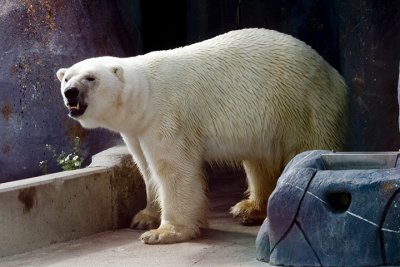 IMG_1651.jpg