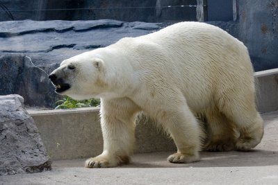 IMG_1663.jpg