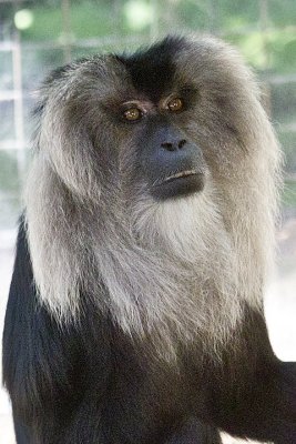IMG_0810.jpg