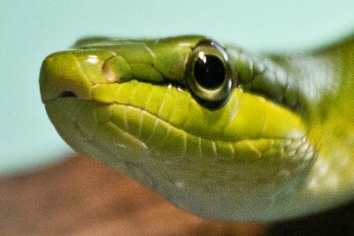 IMG_0861.jpg