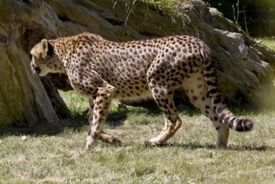 IMG_1172.jpg