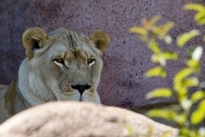IMG_1200.jpg