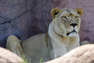 IMG_1201.jpg