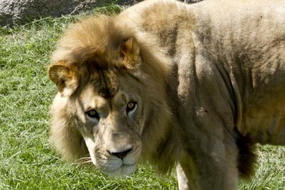 IMG_1264.jpg
