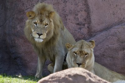 IMG_1336.jpg