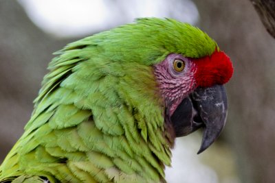 IMG_1843.jpg