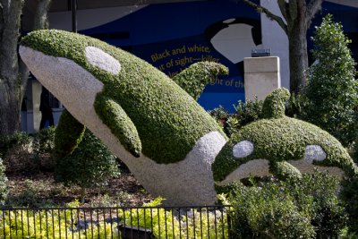 IMG_1908.jpg
