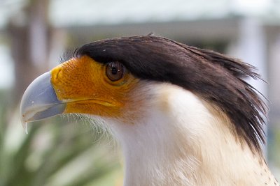 IMG_4030.jpg