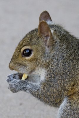 IMG_4077.jpg
