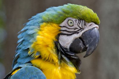 IMG_4605.jpg