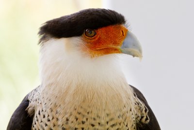 IMG_4667.jpg