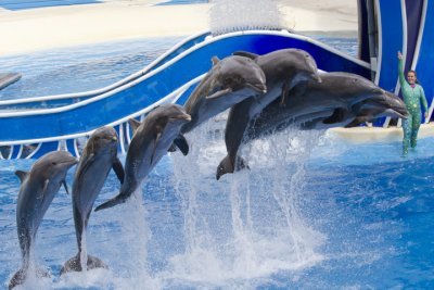 Again another trip to SeaWorld