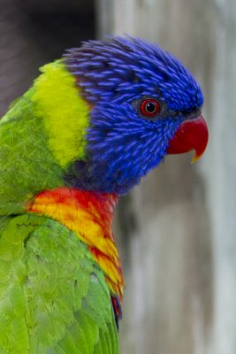 IMG_7143.jpg